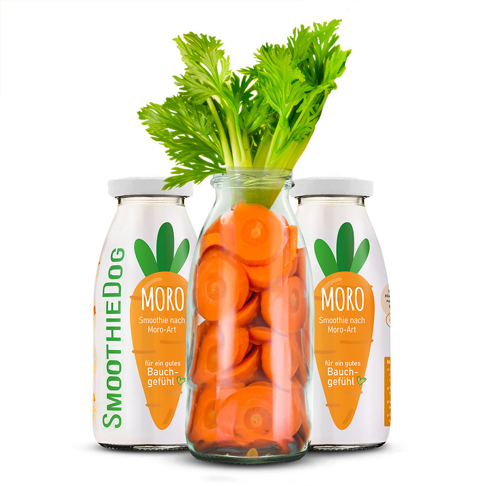 SmoothieDog